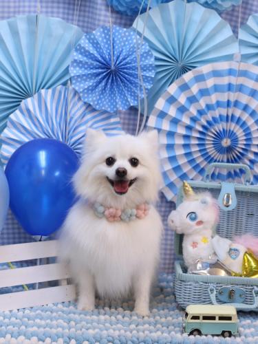 20231121ゆずちゃん